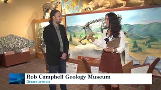 Cabinets full of curiosity at the Geology Museum [upl. by Nobie]