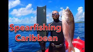 spearking movie 5 Spearfishing chasse sous marine mutton snapper dorado mahi mahi [upl. by Juxon]