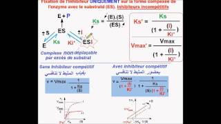 Enzymes Inhibiteurs incompétitifs version Fr [upl. by Divadnoj]