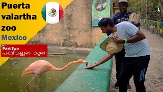 Puerta Vallarta Zoo Mexico Part 2 Birds [upl. by Ellitnahc933]