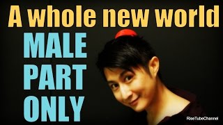 A whole new world KaraokeMALE part vocals only  男性（アラジン）パートのみ [upl. by Nylednarb607]