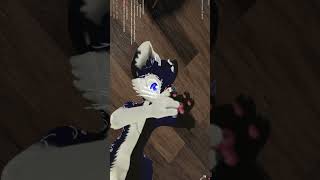 Furry gets hit in the face [upl. by Mcadams]