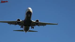 Planespotting Memmingen Airport  25022024 [upl. by Wallas]