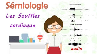 sémiologie  les souffles cardiaque  cours de 3 éme année médecine [upl. by Anecusa]