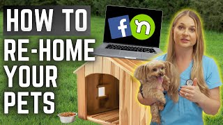 5 Tips to find your Dog a NEW HOME  amp No Shelter needed MUST WATCH [upl. by Dalton]