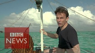 Chinese poachers destroying coral reefs  BBC News [upl. by Ilellan926]