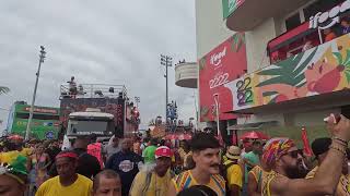 Wadaabe Olodum Carnaval Salvador 2024 [upl. by Nyladnewg721]