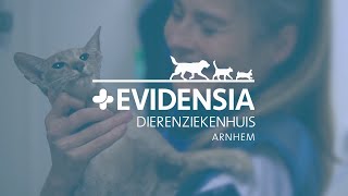 Evidensia Dierenziekenhuis Arnhem Eerstelijns Spoedarts [upl. by Wichern]