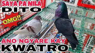 EP300  SAKLAP ETO NGYARE KAY KWATRO [upl. by Munroe]