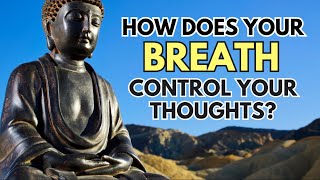 Breath and Mind Connection Unraveling Buddhas Teachings  Wisdom Insights [upl. by Annoval]