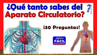 🥇¿QUÉ TANTO SABES DEL SISTEMA CIRCULATORIO ¡ Test de 30 Preguntas [upl. by Northington435]