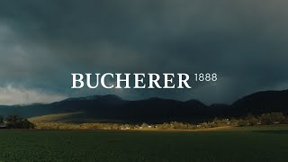 Bucherer Masters At Work [upl. by Annelg]