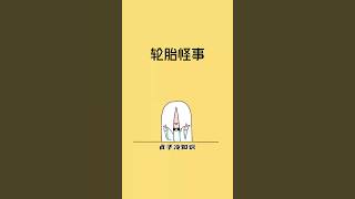 轮胎的奇怪现象！！涨知识 内容过于真实 冷知识 [upl. by Yrahk]