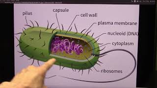 New Research on Cancer and Health via the Microbiome from the University of California [upl. by Sitnik883]