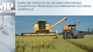 SAFRA DE VERÃO EM SC EPAGRICEPA ESTIMA AUMENTO NA PRODUÇÃO DAS PRINCIPAIS CULTURAS AGRÍCOLAS [upl. by Sinclare]