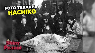 Fakta Mengejutkan Anjing Hachiko yang Jarang Orang Tau [upl. by Boj989]