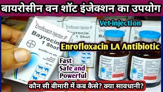 Bayrocin 1shotEnrofloxacin LA AntibioticInjection ka upyog pashuon Mein konsi Disease mein kare [upl. by Naeerb449]