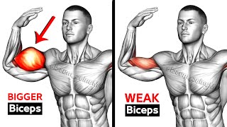 7 BEST Exercises for BIGGER BICEPS [upl. by Neerol523]