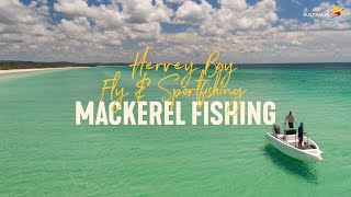 Hervey Bay Fly and Sportfishing  Live from Aus Fraser Coast [upl. by Ecnarwal705]