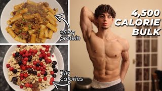 Bulking Meals 4500 Calories [upl. by Eecyal483]