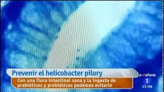 Probióticos para ayudar a la erradicación del Helicobacter pylori [upl. by Sebbie]