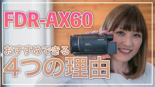 Youtberに人気の4K ビデオカメラ！SONY FDRAX60のおすすめな理由４つ！ [upl. by Aiuqes]