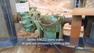 Excellence Pump Industry  Centrifugal slurry pump in China gold mining [upl. by Ainslee]