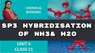 SP3 Hybridisation of NH3 amp H2O  chemical bonding  CBSE Class 11 Chemistry [upl. by Kester]