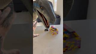 Raptor Tries Destroying LEGO Doghouse 🦖🏠 [upl. by Ledda]