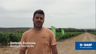 Carmelo Espinosa técnico de Bodegas Montecillo [upl. by Finny]