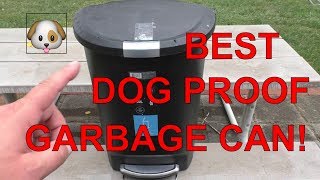 The Best Dog Proof Garbage Can  A Short Review of the Simplehuman Locking Lid Trash Can [upl. by Kelam]