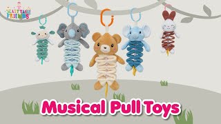 Musical Pull Toys [upl. by Duntson235]