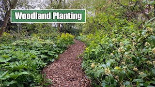 Tips and Tricks for Woodland Planting  My Favourite Perennials for Woodland Style amp Conditions [upl. by Dee Dee]