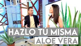 Así Haces Mascarillas Caseras de Aloe Vera para un Rostro y Cabello Deslumbrantes💆‍♀️✨ Muy FÁCIL [upl. by Adnolay]