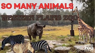 TARONGA WESTERN PLAINS ZOO  DUBBO NEW SOUTH WALES [upl. by Icyaj208]