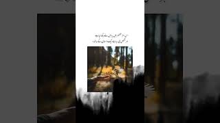 Har shakar aik dastan chupaye hue hai🙃foryou poetry unfeezmyaccount viralvideo [upl. by Lerat]