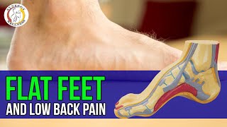 Flat feet and low back pain hip or knee pain  new york city chiropractor [upl. by Kramlich771]