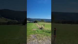 Allgäu im Odenwald Blick auf die Oberzent von Etzean Hessen ausQuaint Hessian German countryside [upl. by Finzer]