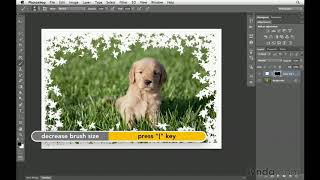 Photoshop Tutorial  How to create custom borders [upl. by Devan116]