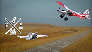 E Flite Timber Turbo Evolution  Weekend Fun [upl. by Marron]