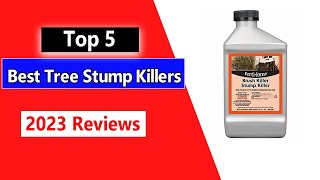 The Best Tree Stump Killers Top 3 Choices in 2023 [upl. by Wallie]