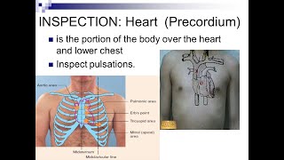 Precordium Inspection for signs of cardiovascular system diseases [upl. by Alejna]