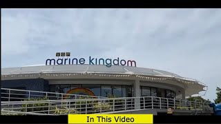 VGP Marine Kingdom July 2024 Chennai [upl. by Wincer]