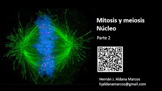 Mitosis y meiosis Parte 2 Hernán Aldana [upl. by Yesiad]