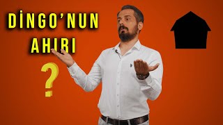 DİNGONUN AHIRI TABİRİ NEREDEN GELİYOR  Dingo’nun ahırı nedir [upl. by Wallford581]