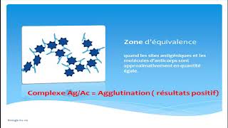 le rapport antigène  anticorps  zone d équivalence prozone postzone [upl. by Querida]