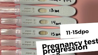 Finding Out Im pregnant  Test Progression 1115DPO  Becca Halm [upl. by Wendye]