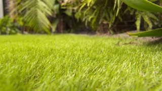 Front Yard Remodel 5  How to install Artificial Turf Step by Step Guide [upl. by Corrie]