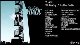 Vitalic  The Past [upl. by Miko]