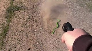 Ruger LCR 22 LR VS Snake [upl. by Naashar]